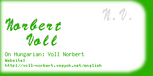 norbert voll business card